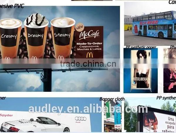 Audley Inkjet Printerast Speed Solvent Printer photo-2
