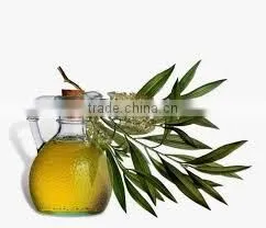 Tea Tree Oil photo-3