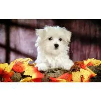 test test test