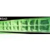 luminous tape ,reflective tape ,glow in the dark tape