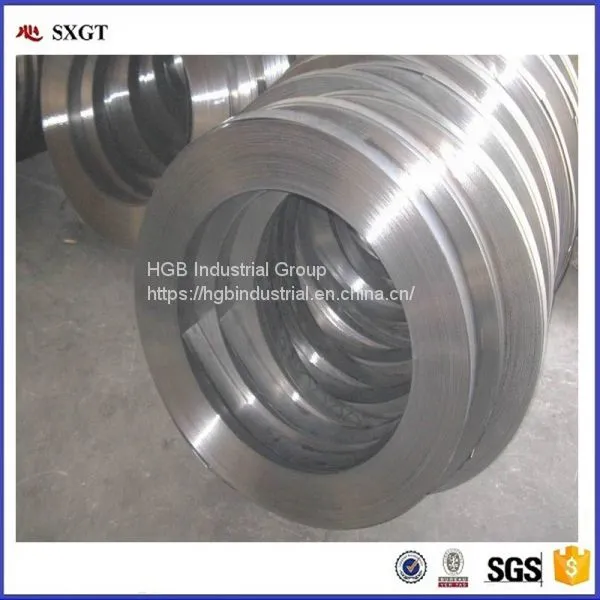 High Quality Prepainted Galvanized Steel Strips Made In China photo-4