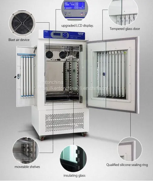 Light Incubator China Famous Manufacturer, Professional Training Equipment photo-2
