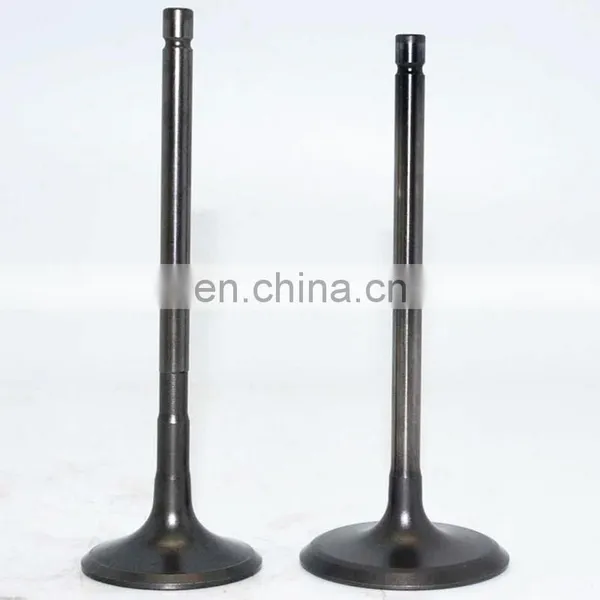 Global Manufacturer Workshop Suppliers Engine Valve For Iveco Daily Citys Bus 3.0 photo-5