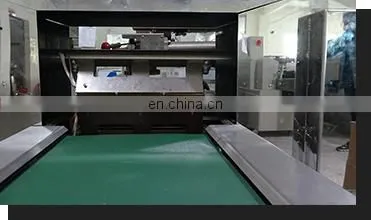 High Speed Disposable Medical Surgical Face Mask Pillow Packing Machine photo-5