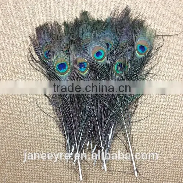 Wholesale 10-12 Inch 25-30cm Dyed Peacock Eye Feathers for Drama Props photo-2