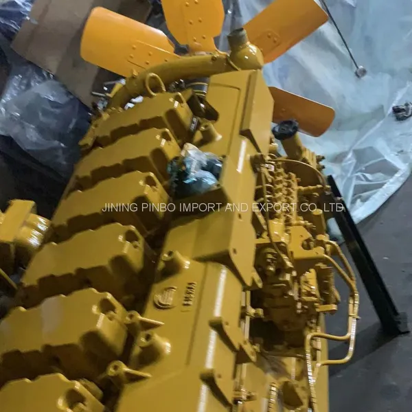 WEICHAI WD10G240E203 Diesel Engine for Africa Market photo-3