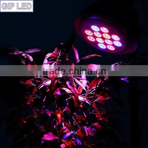 GIP Par38 E27 12w 24w LED Plant Grow Lights 12W 24W E27 LED Grow Light for Greenhouse photo-6