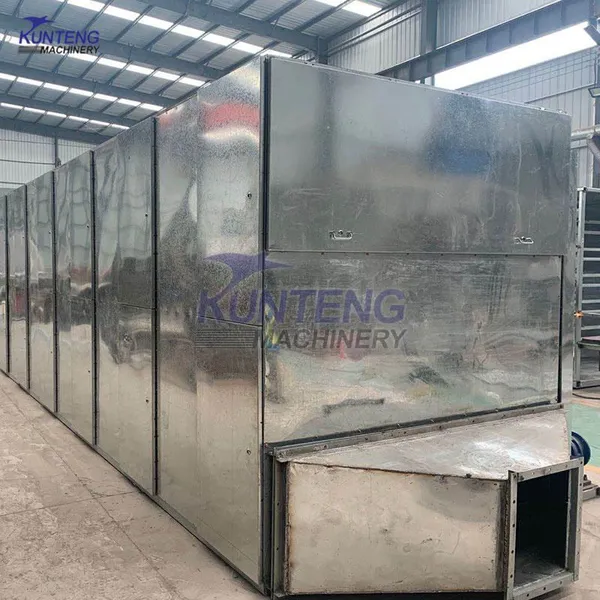 Continuous Vegetable Drying Machine Potato Cucumber Drying Processing Line EPC photo-2