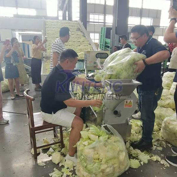 Best Automatic Food Dehydrator Moringa Leaves Kale Cabbage Dryer Vegetable Cleaning and Drying Production Line Equipment EPC photo-2