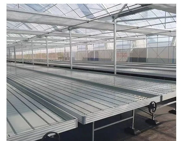 Tidal Seedbed Greenhouse Hydroponic Growing Bench For Plant Nursery photo-5