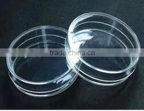 90mm glass petri dish