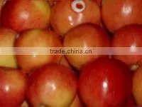 Fresh Apples