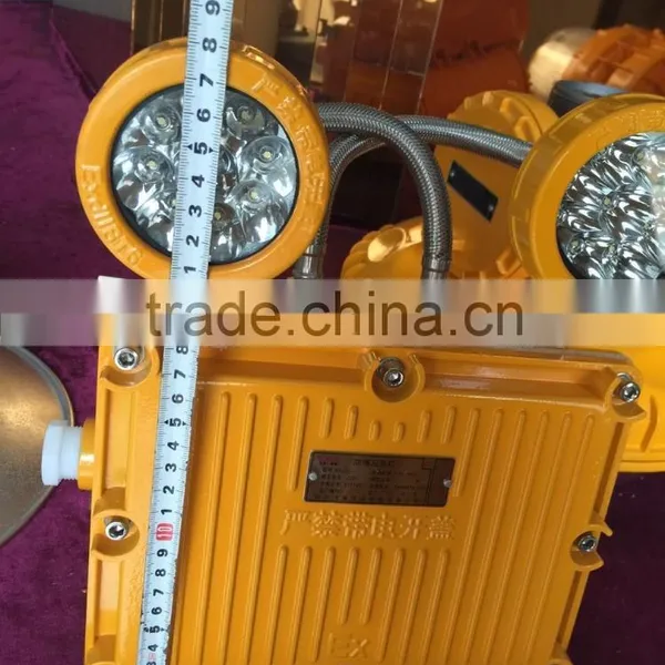 BAJ52 IP65 High Quality Emergency Light LED Enclosure photo-4