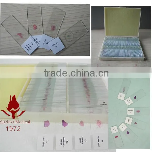 Hot Sale Prepared Histology Slides photo-2