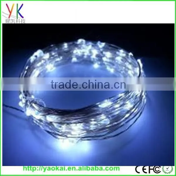 Factory Price and High Quality Waterproof Ip65 Led Decorative Light photo-3