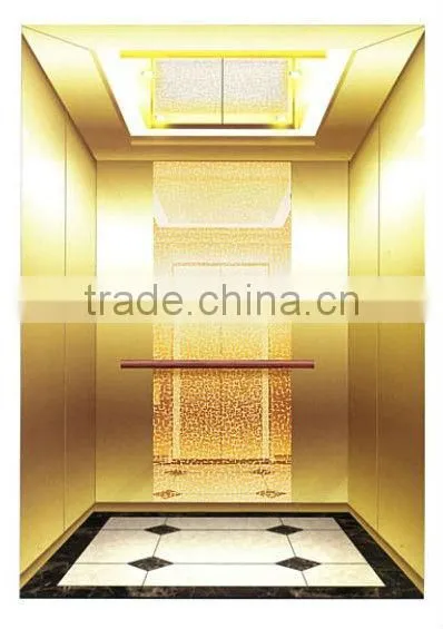 Good Quality Luxury Villa Elevator by Mirror Hairline Stainless Steel