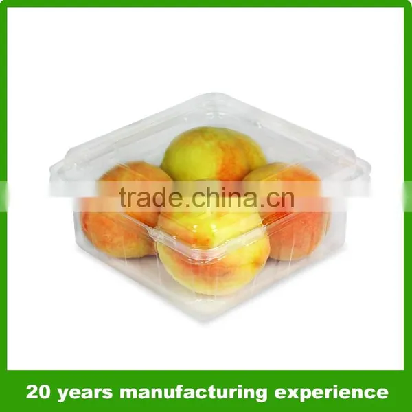 850g Clear Plastic Packaging Boxes for Fruit Plastic Vegetable Box