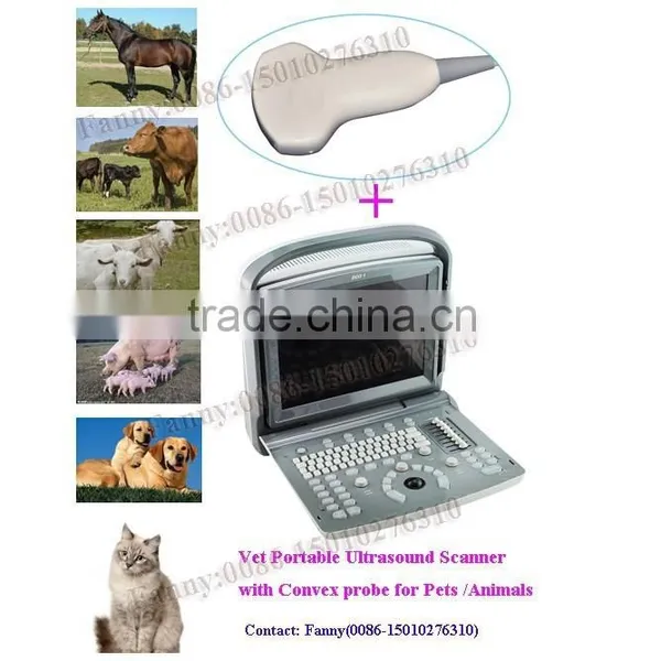 CE Approved 3.5Mhz Convex Probe Portable Veterinary Ultrasound Scanner for Pets