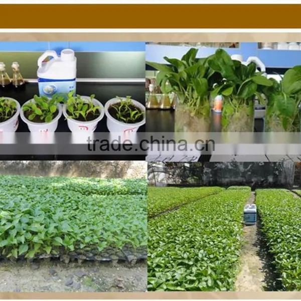 Root Organic Microbial Fertilizer photo-4