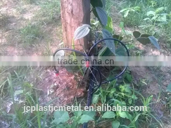 Cambodia Hot Sale Pepper Irrigation System photo-5