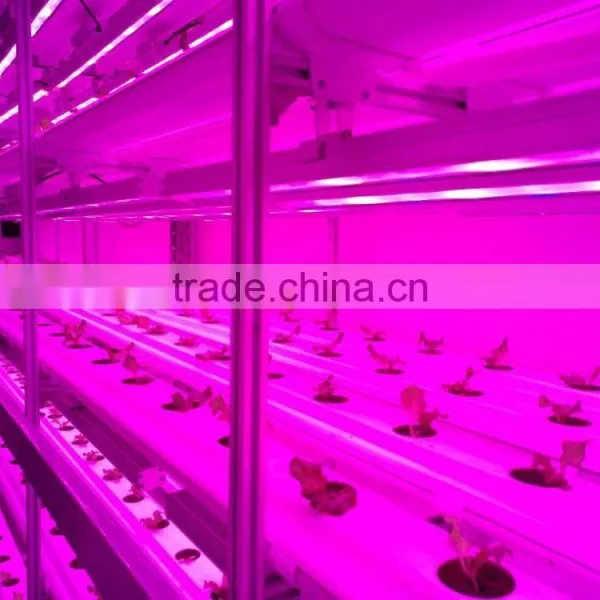 Manufacturing Plant photo-2