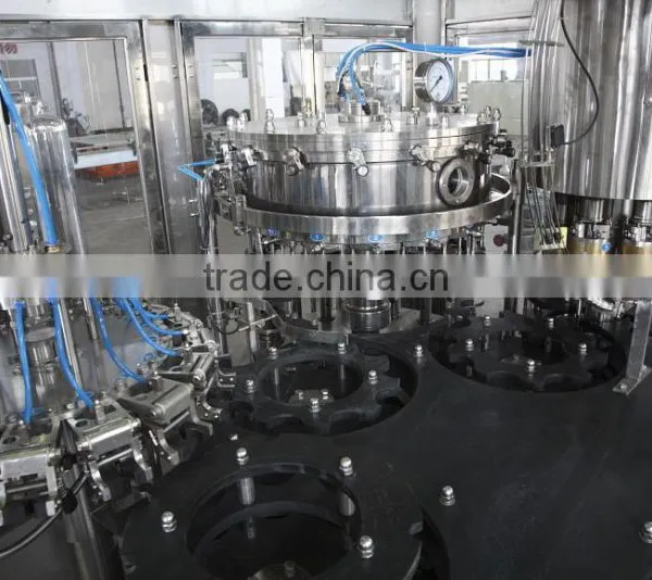 Beer Bottle Filling Machine photo-3