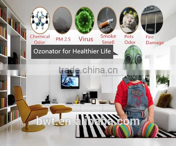 Air Treatment Ozonizer for Formaldehyde Treatment After Home Decoration photo-5