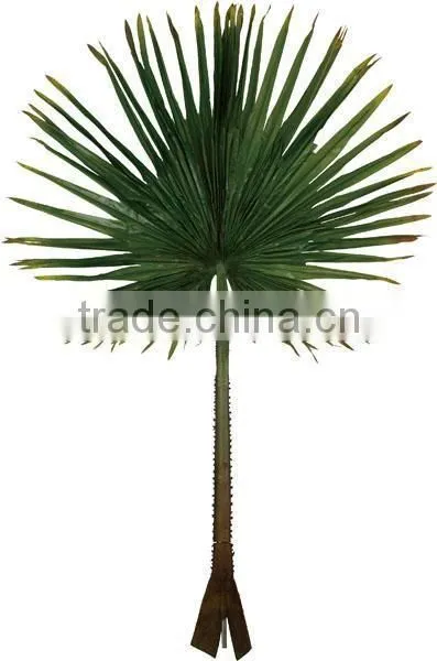Hot Sale 2.4 Meter Coconut Trees Leaves, Artificial Coconut Trees Leaves photo-3