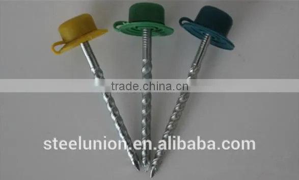 Twist Shank Roofing Nails With Plastic Cap photo-2