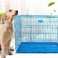 Folding Iron 2 Door Plastic Pan Pet Cage