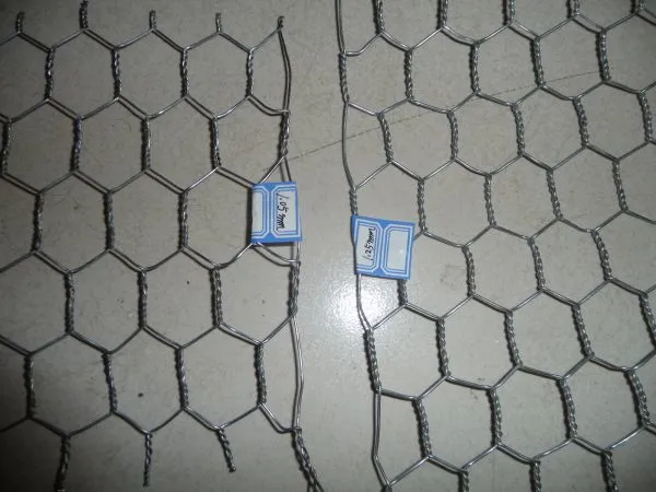 Manufacturer 10mm Hot Dipped The Pvc Coated Double Twisted Hexagonal Metal Mesh photo-3