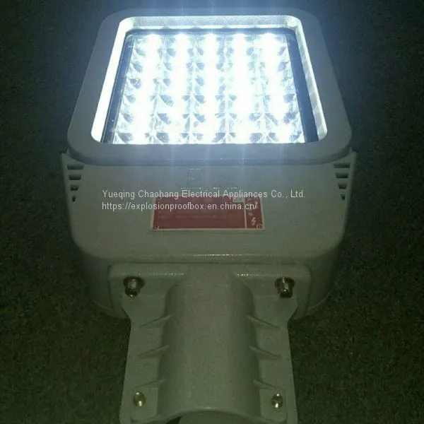 HRD9 Maintenance-free Explosion-proof LED Road Lamp High Efficiency Explosion-proof Street Lamp Pole photo-2