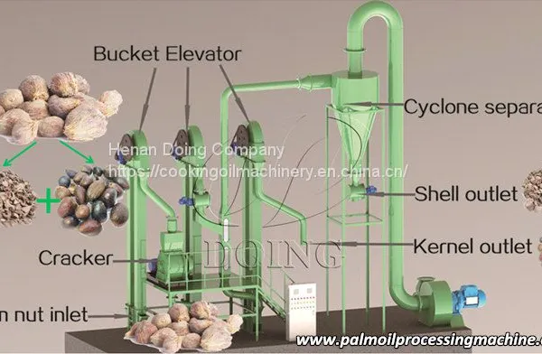 Complete Set 2-10tph Palm Nut Processing Cracking and Separating Machinery photo-2