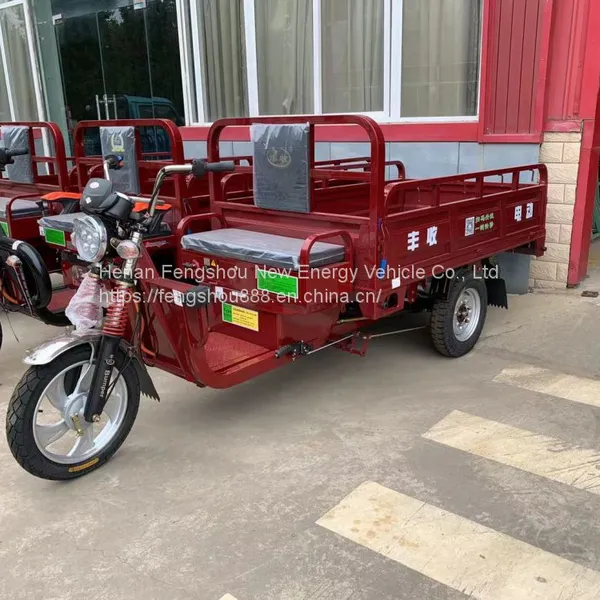 New Model ASA2 1.8*1.2 Cargo Box Heavy Load Electric Tricycle