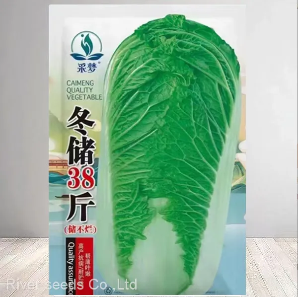 2200pcs Green Leaf Vegetables Brassica Rapa Pekinensis Seed Hybrid Fast Growing Chinese Cabbage Seeds
