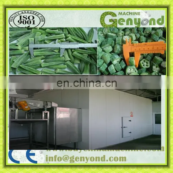 Okra Processing Machine Frozen Vegetables Production Line photo-2