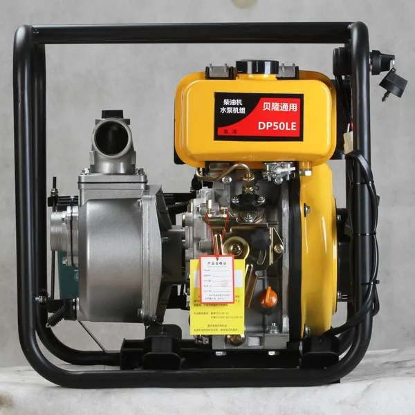 2 Inch Hand Start Diesel Water Pump With 173F Air Cooled Diesel Engine for Farm Irrigation & Drainage