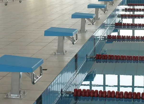 Pikes Portable Stainless Steel 1 Step/2 Steps Swimming Pool Diving Platform Starting Blocks for Sale photo-3