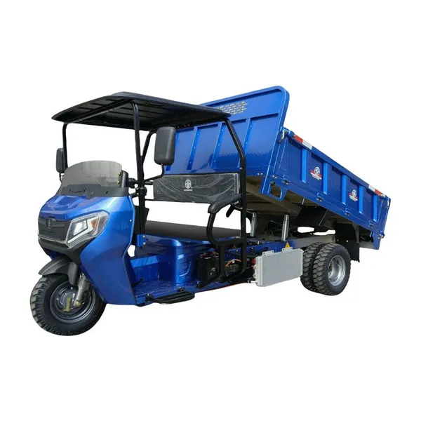 Heavy Load 200cc Cargo Motortricycle Trike 3 Wheeler Scooter Adult Moped From Source Factory China photo-5