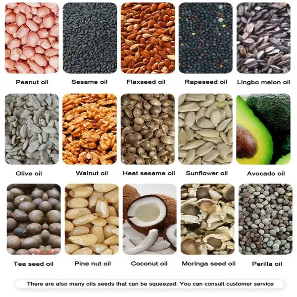 Screw Oil Press Machine Peanut Hazelnut Coconut Sesame Soybean Avocado Sunflower Oil Pressing Machine Oil Presser photo-2