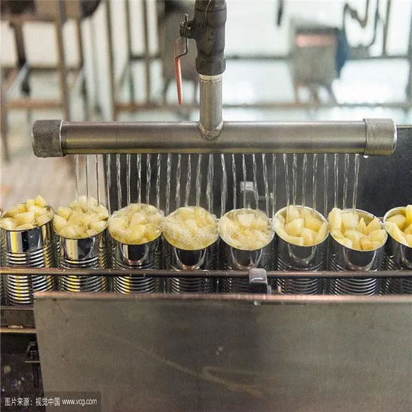 Factory Price Pineapple in Syrup Production Line photo-2