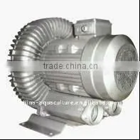 High pressure ring blower
