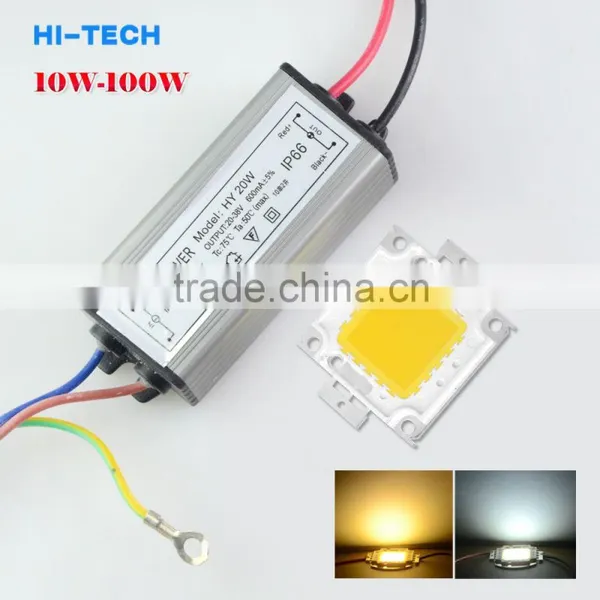10W 20W 30W 50W 100W LED Bead Chip for High Power DIY LED Floodlight Lamp Spot Light Integrated COB LED Beads With IP66 Driver