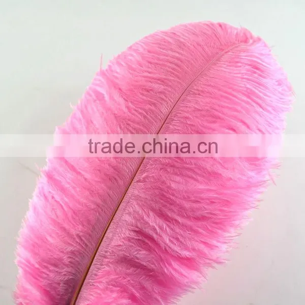 New Style Natural 10-12 Inch Ostrich Plumes for Party Decorations photo-3