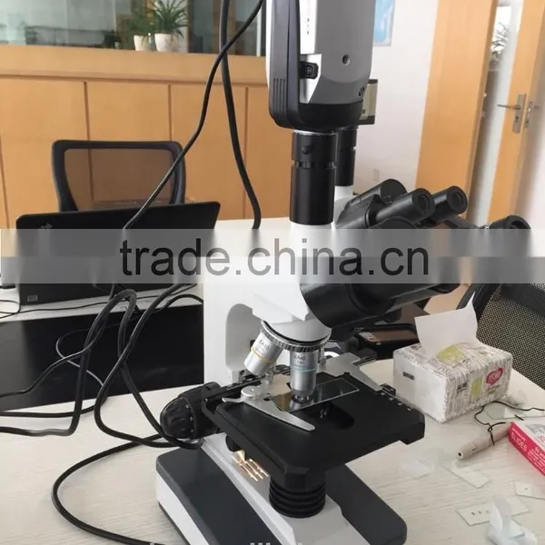 Teaching binocular Microscope