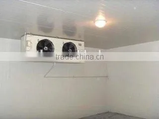 PU Sandwich Panel Fruits/vegetables Cold Room Storage photo-3