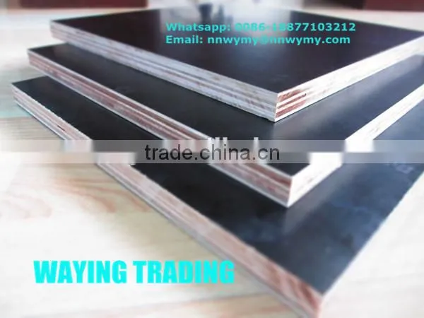 Malaysia Formwork Plywood Price photo-4
