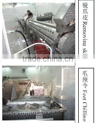 Poultry Feet Skin Removing photo-4