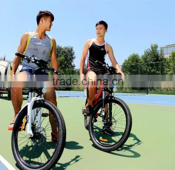 Haoling Seagull 48v 500w Electric Bike , Electric Bike 500w photo-5
