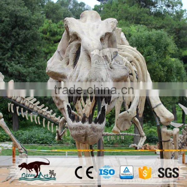 Dinosaur Exhibition Simulation Metal Dinosaur Skeleton photo-3